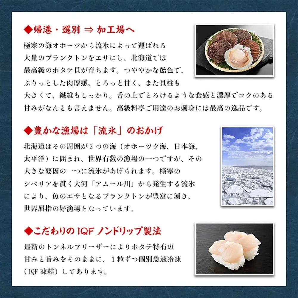 24-121 【甲羅組】【訳あり】ほたて貝柱 １kg【欠け/サイズ不揃い】