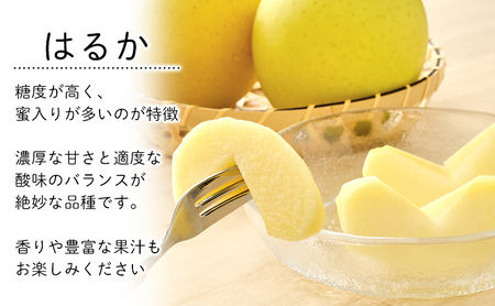 はるか りんご5kg18個 12月限定 はるか