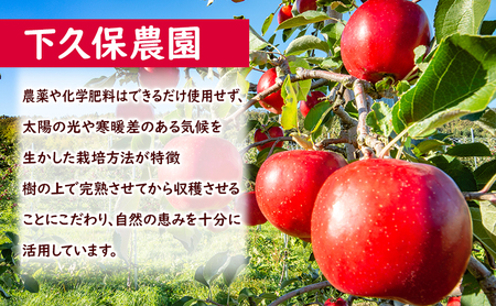 訳あり 盛岡りんご りんご 5kg 16～18個 家庭用 11月限定 下久保農園 shitakubo003