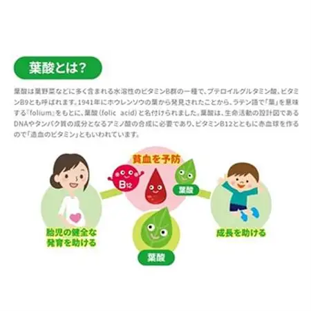 葉酸代謝遺伝子検査キット【1533148】