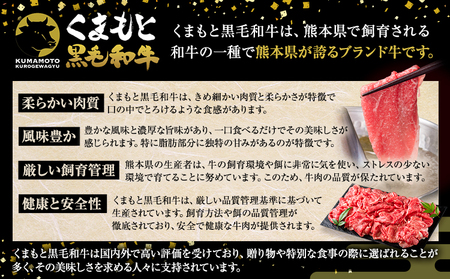 牛肉 切り落とし くまもと黒毛和牛 A4 または A5 1000g 500g × 2 1kg 牛肉 冷凍 《11月下旬-12月下旬頃出荷》冷凍庫 個別 取分け 小分け 個包装 しゃぶしゃぶ すき焼き ブランド牛 黒毛和牛 牛 st-p