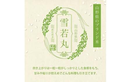 令和7年産 雪若丸 無洗米 5kg×2 計10kg【最上ノ米蔵】 山形県産 こめ お米 米 白米 F3S-2682