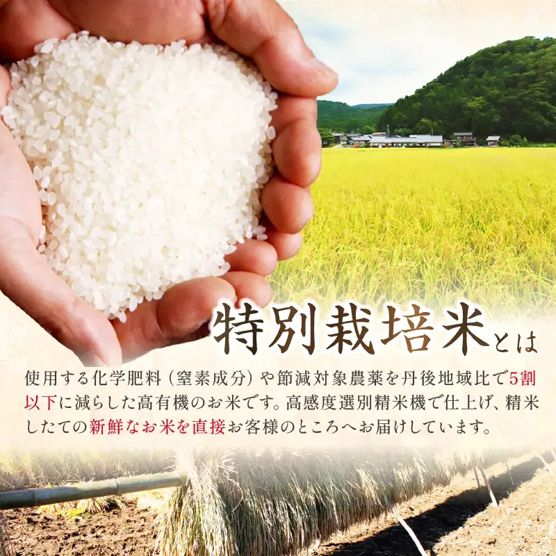 京都丹後産ミルキークイーン特別栽培米　いわきしろやま　5kg