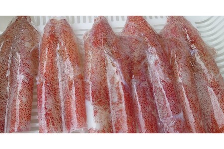【イカ】丹後の白イカめし140g×3