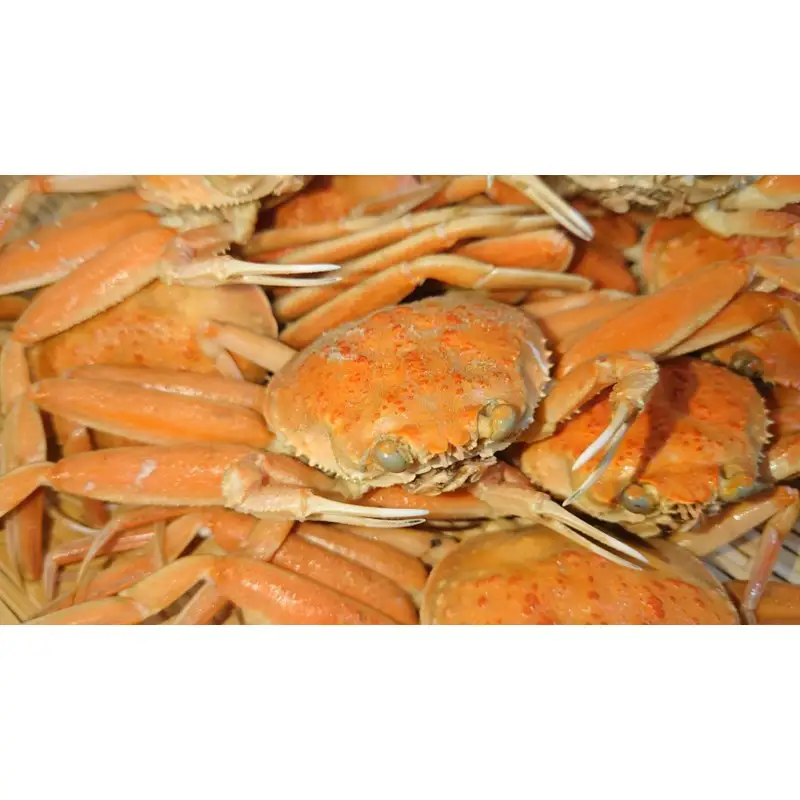 カニの身たっぷり　コッペ寿司(220g×2個)