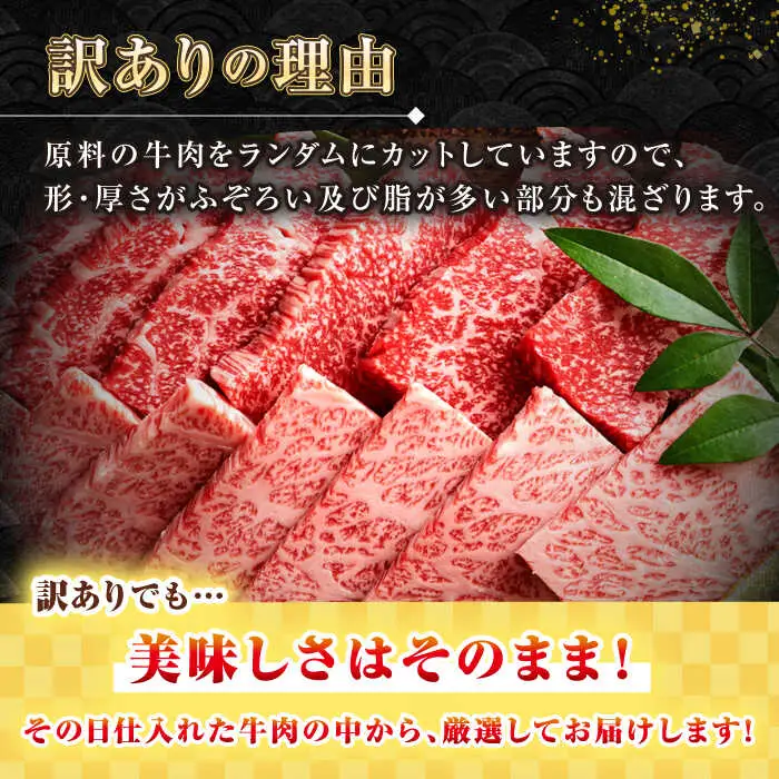 【全2回定期便】【訳あり】【A4～A5ランク】長崎和牛 焼肉切り落とし 500g (肩ロース・バラ）《壱岐市》【株式会社MEAT PLUS】 肉 牛肉 黒毛和牛 焼き肉 ご褒美 焼肉 焼肉用 ギフト 贈答用 ご褒美 冷凍配送 A4 A5 [JGH115]