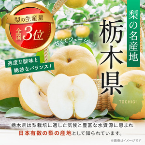 【先行予約】【2026年10月中旬より順次発送】 梨 にっこり 3kg | 栃木県 下野市