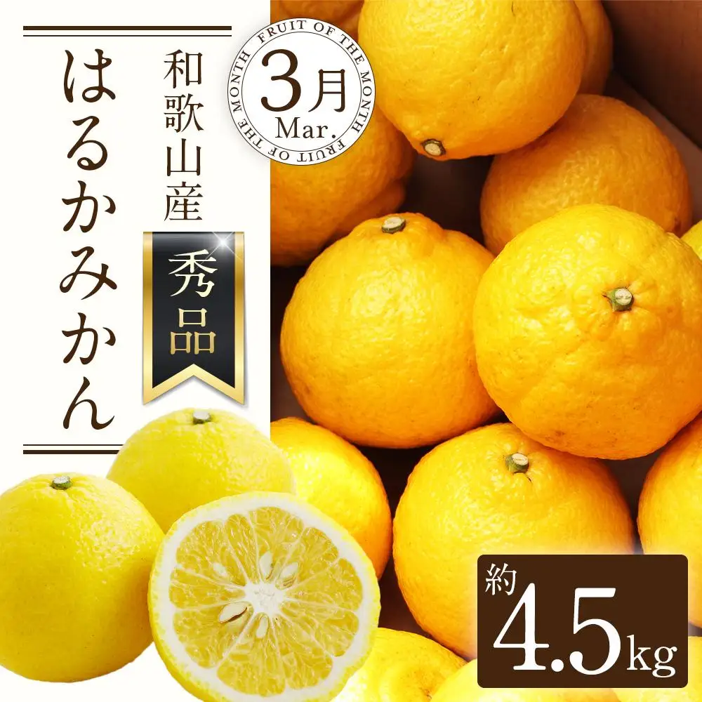 定期便全3回 【2月・3月・4月発送】 和歌山の春の柑橘 （ポンカン・はるか・ブラッドオレンジ）秀品【TM173】