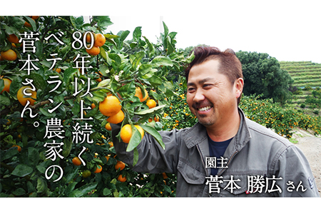 みかん 約3kg(2S-Lサイズ)《11月中旬-1月中旬頃出荷》 【日付指定不可】 菅本果実園