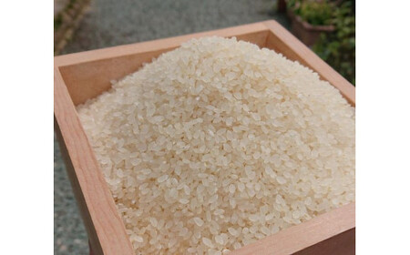 【定期便】高原の町 久万高原町産のお米＜玄米5kg分×4回＞ ※精米歩合のご指定がない場合は標準(10分つき：一般的な白米の状態）でお届けします ※2021年9月下旬より順次発送予定 ※着日指定不可