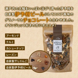 自家製伊予柑ピールとチョコレートのグラノーラ（150g×1袋）｜朝食 グルメ 伊予柑 伊予柑ピール チョコレート グラノーラ りんご 干しりんご アーモンド クルミ カシューナッツ レーズン ナッツ フルーツ ココア風味 里山グラノーラ アイス トッピング ミニパフェ おやつ お菓子 菓子工房 ザクザク食感 自然の恵み 甘酸っぱさ 濃縮 お取り寄せ ギフト 手作り 人気 オリジナル 愛媛 久万高原町