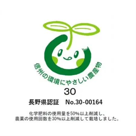 【2026年先行受付】シャインマスカット (2～3房)【配送不可地域：離島】【1543045】