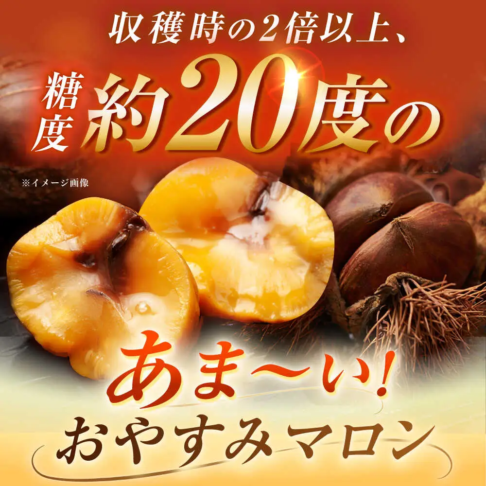 【先行予約】おやすみ栗（マロン）1kg（2Lサイズ） / 恵那市 / えな笠置山栗園 [AUAV004]