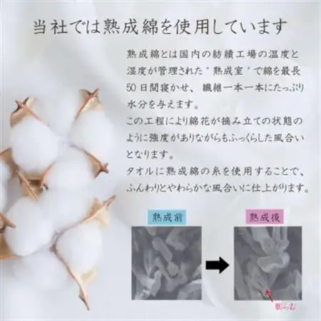 泉州タオル「普段使いにぴったりのミニバスタオル」5枚セット(グレージュ) 099H751_雑貨・日用品 泉州タオル タオル _【1536875】