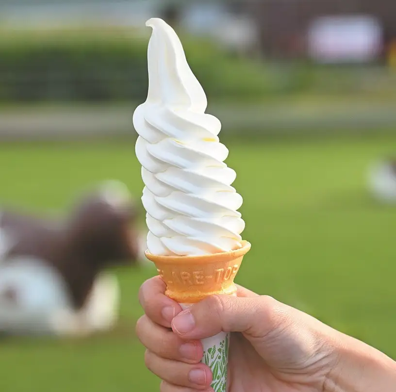 北海道 牧場のチーズ＆生ソフトクリーム 10個 アイスクリーム アイス スイーツ 池田町 ジェラート ギフト ソフトクリーム 120ml×10個 国産