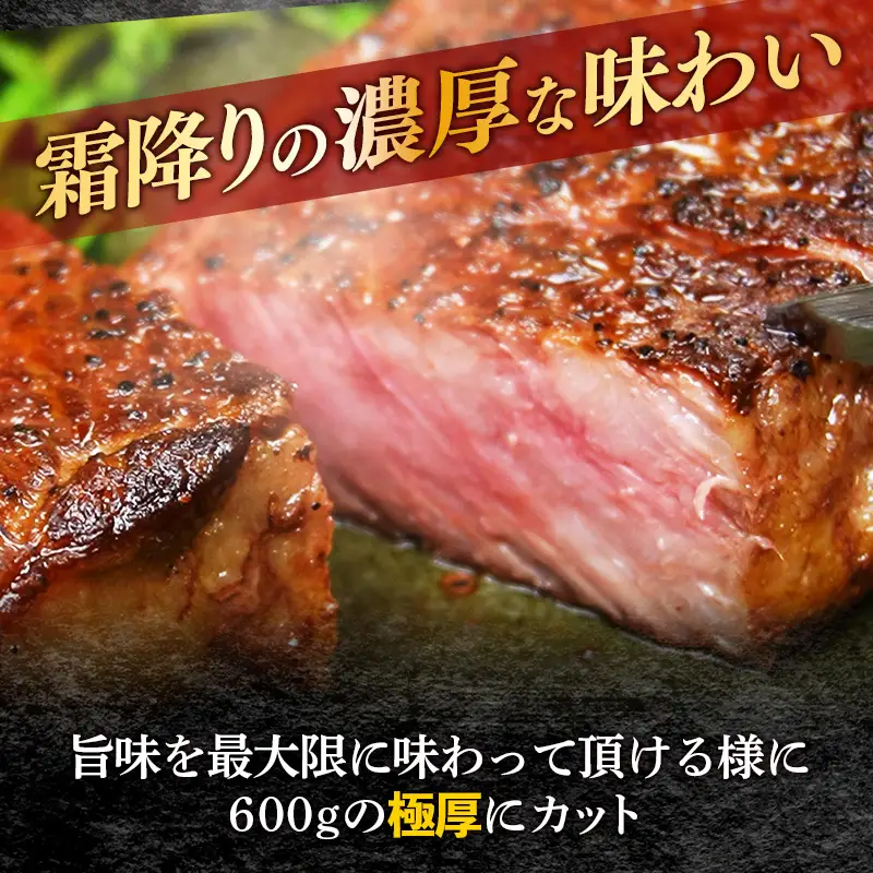 【極厚】博多喜造 博多和牛 ステーキセット 4人前（600g）【博多和牛 和牛 牛肉 肉 ステーキ セット 極厚 ご馳走 ごちそう 牛 肉 博多和牛 ブランド牛 牛肉 ステーキ セット 4人前 博多 喜造 冷凍 国産 福岡 土産 九州 博多 ご当地 FI003】【202609】
