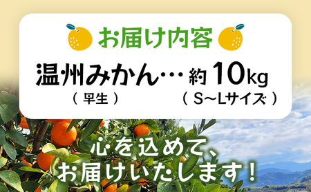 ＜温州みかん（早生）約10kg＞ 果物 フルーツ みかん ミカン 蜜柑 オレンジ 柑橘 うんしゅうみかん ウンシュウミカン わせ ワセ 食べて応援 特産品 JA えひめ南農業協同組合 愛媛県 西予市【常温】『2025年10月下旬から11月下旬迄に順次出荷予定』OEM0005