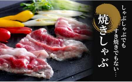 佐賀牛 バラ焼きしゃぶ用 400g 肉 佐賀牛 牛肉 おすすめ ギフト 贈答 黒毛和牛 ランキング zb012