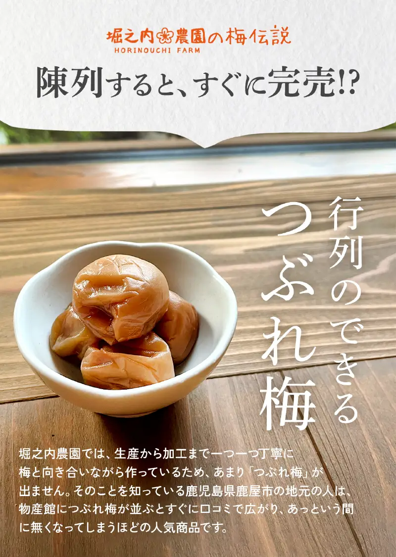 2585 ＜訳あり＞ つぶれ梅 梅干し かのや南高梅 C しそ梅 3袋 ×300g （計900g） KN033-005