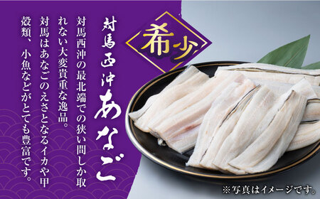 【1週間以内発送】対馬産 西沖あなご 200g×6パック あなご 穴子 アナゴ [WAA037] 西沖アナゴ スピード発送 最速発送 最短発送