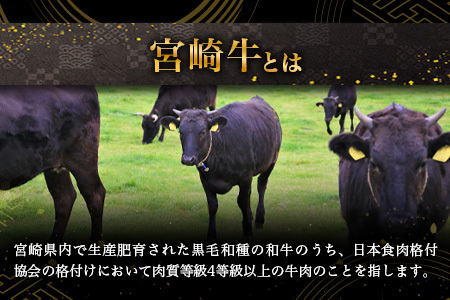宮崎牛 ももスライス 1kg 宮崎牛 和牛 黒毛和牛 牛肉 スライス肉 精肉 牛もも肉 TK-90