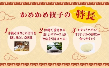 かめかめ島餃子 (豚肉/にんにくあり・なし) 30個 × 2袋 | 包みたて 工場直売 餃子 シママース | 簡単調理 手軽 | 豚肉 出汁 沖縄 お取り寄せ グルメ 冷凍
