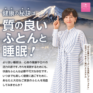 【甲州羽毛ふとん】ふじやま織 ハイブリットコットン 掛カバー クイーン ストライプ  寝具
