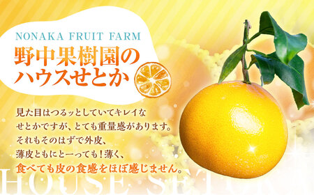 ハウスせとか 3kg 8～15玉 化粧箱セット  【2027年2月下旬～3月上旬発送予定】 ／ フルーツ 果物 くだもの ミカン みかん 野中果樹園 オンライン決済限定 アフター保証 長崎県 長崎市