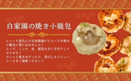 【詰め合わせ】ぶたまん20個×焼餃子10個×焼小籠包8個 中華 豚まん 餃子 ぎょうざ ギョーザ 小籠包 惣菜