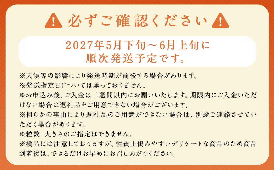 先行予約 茂木 びわ 『なつたより』 3Lサイズ 15玉 入り  【2027年5月下旬-6月上旬発送予定】 ／ 果物 くだもの フルーツ 枇杷 ビワ 長崎県 長崎市 川口農園 アフター保証