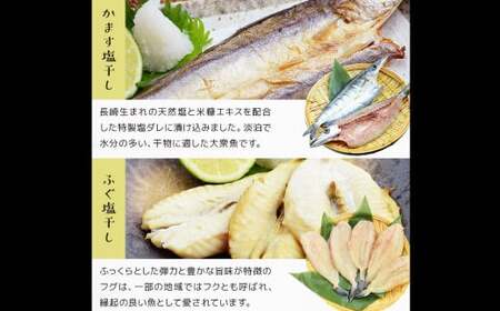 【全12回定期便】長崎 海鮮三昧 ひものセット ／ 干物 乾物 魚介 お魚 魚 おつまみ 酒の肴 ふぐ フグ 連子鯛 タイ かます あじ 鯵 ぶり いかしゅうまい 長崎県 長崎市