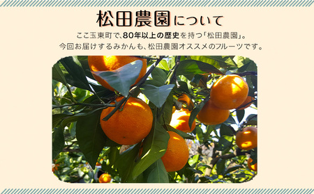 訳あり ご家庭用みかん 約10kg(S-2Lサイズ) 【日付指定不可】《11月上旬-12月下旬頃出荷》 松田農園