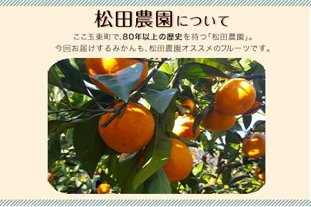 みかん 約5kg (S-2Lサイズ)《11月上旬-12月下旬頃出荷》【日付指定不可】 松田農園