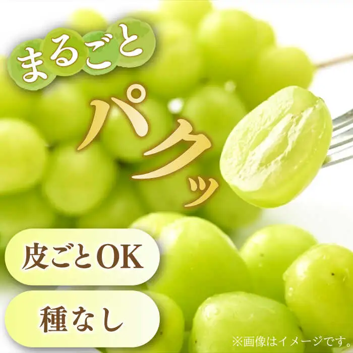 【2027年8月中旬-発送】【数量限定】【糖度18度以上】シャインマスカット 3房 1.8kg以上 / ぶどう ブドウ 葡萄 マスカット しゃいんますかっと フルーツ 果物 / 南島原市 / ミナサポ[SCW072]