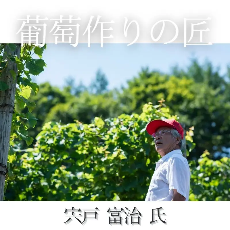 【余市】葡萄作りの匠 ロゼワイン飲み比べセット【北海道ワイン】_Y034-0094