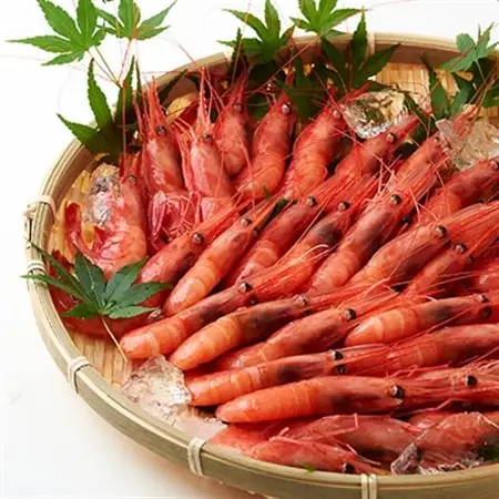 お刺身用甘えび500g(Lサイズ30匹前後)【配送不可地域：離島】【1049614】