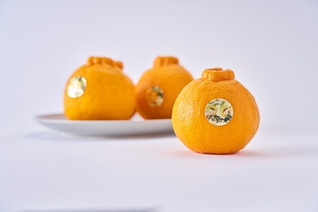 先行予約  加温栽培 不知火 約3kg（約7玉～10玉） 2026年12月上旬から中旬発送予定 