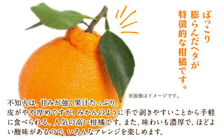 森田果樹園の不知火 10kg 20～32個程度　《2027年2月中旬-4月下旬頃出荷》