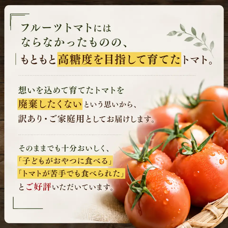 【2027年1月～8月頃発送】＜約1.2kg×7回 定期便＞訳あり アイメック フルティカ トマト＞ましまファーム ミニトマト フルーツトマト  ワケあり 規格外