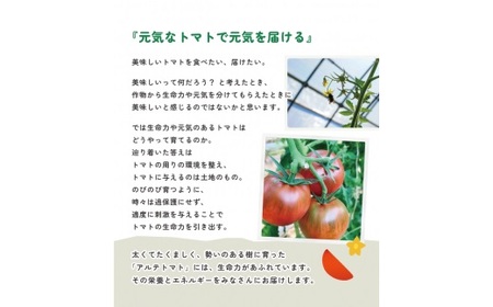 ＜2027年1月～5月頃まで発送＞アルテトマト 定期便 約1.6kg×3ヶ月連続 フルーツトマト 合計4.8kg 高知県 佐川町 トマトハウスナカムラ 野菜 贈答用【常温】栽培期間中化学農薬・化学肥料不使用 有機JAS 