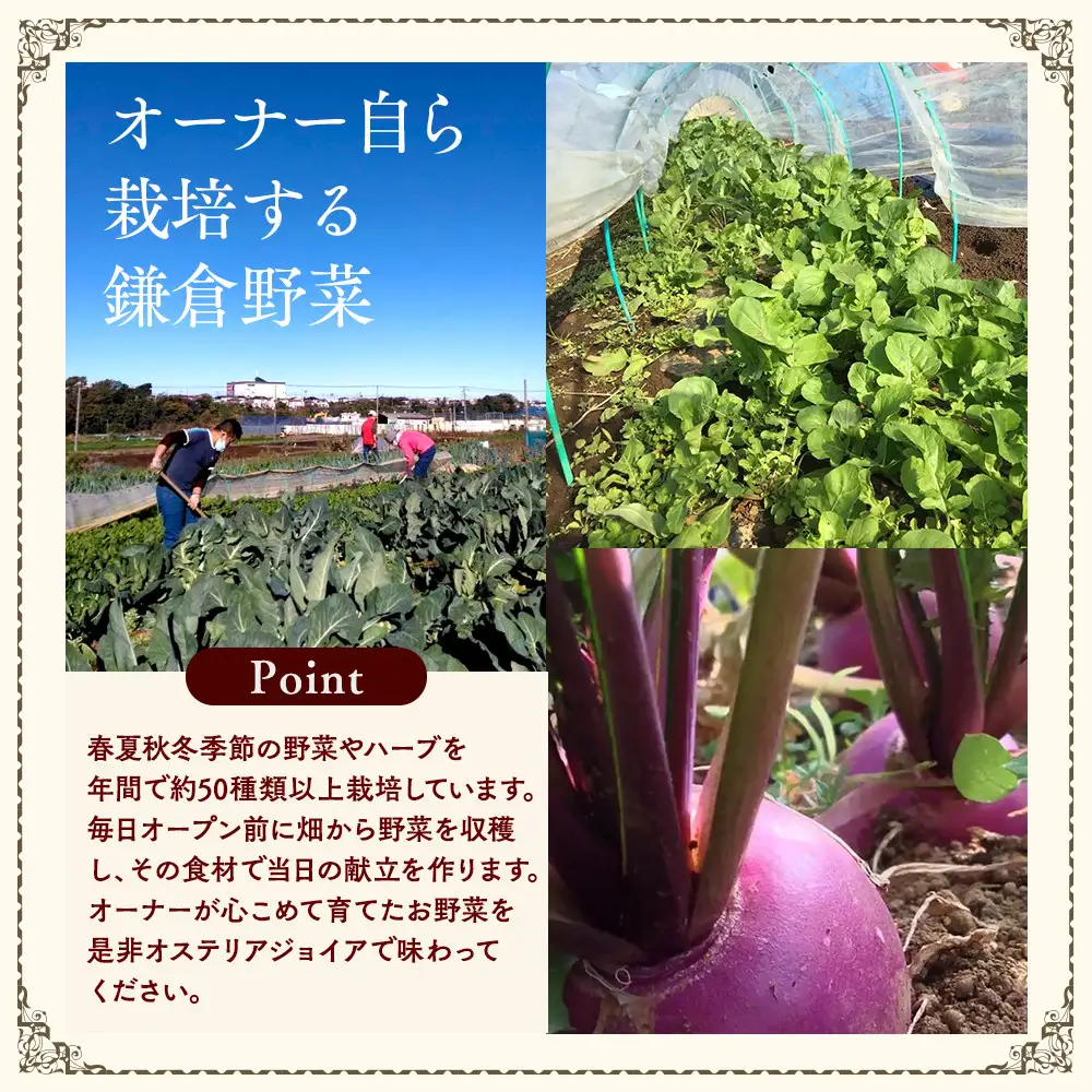 ジョイア季節のディナーコースペア券