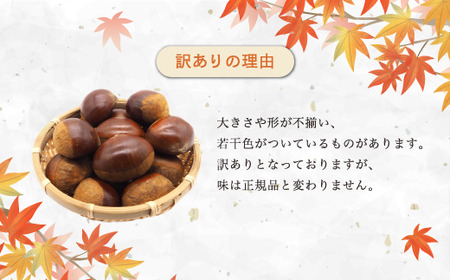 訳あり 栗 1kg 生むき栗 12月発送［BSAR015］