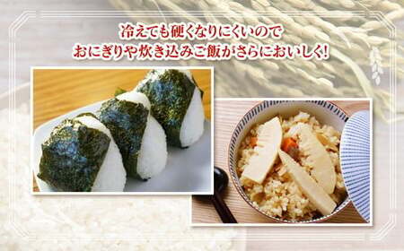【3ヶ月定期便】【令和6年度米】「魚津のミルキークイーン（晃米）」20kg（白米） ｜新米 環境配慮 MK農産 お米 ブランド米 銘柄米 精米 ご飯 おにぎり 産地直送 甘み 粘り もちもち ※2024年10月下旬頃より順次発送予定 ※北海道・沖縄・離島への配送不可
