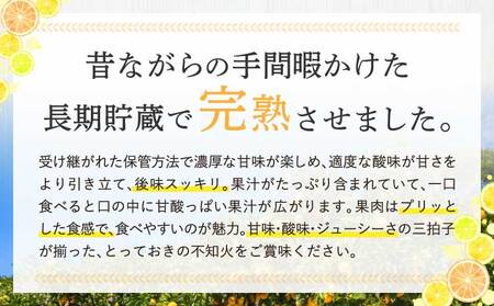 先行予約  訳あり 熊本大見柑 (不知火)  約5kg（15～22玉） 2027年3月上旬から2027年4月中旬発送予定