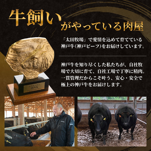 神戸牛 訳あり 切り落とし 400g 小分け 切り落とし 不揃い 規格外 牛肉 肉