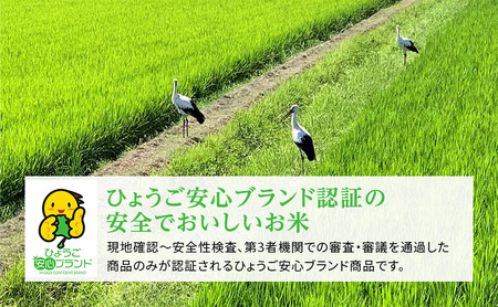 ヒノヒカリ 令和6年産 白米 単一原料米 ヒノヒカリ【3kg×2袋】【予約受付】