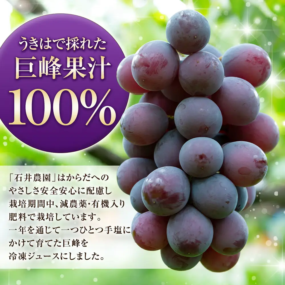 石井農園 冷凍ぶどうジュース 150ml × 10本セット 