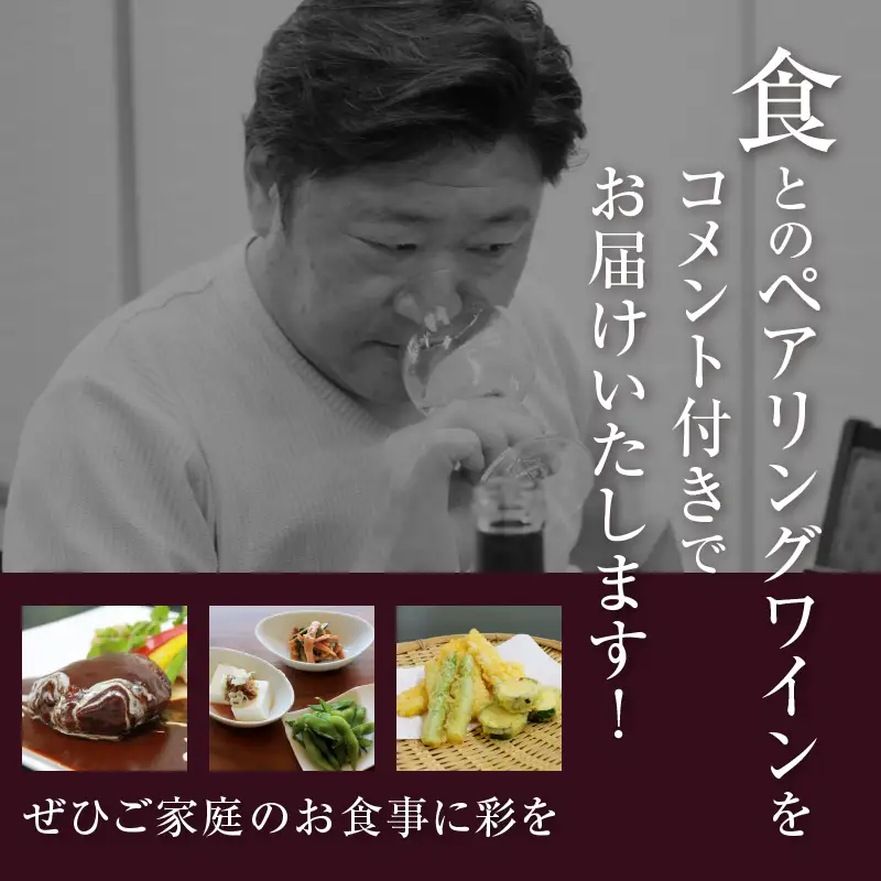 2013年ワインアドバイザー全国選手権大会優勝 日本ソムリエ協会認定ソムリエ・エクセレンス 長谷部賢氏の選んだ食とのペアリングワインお手軽セット（KBO）D1-602