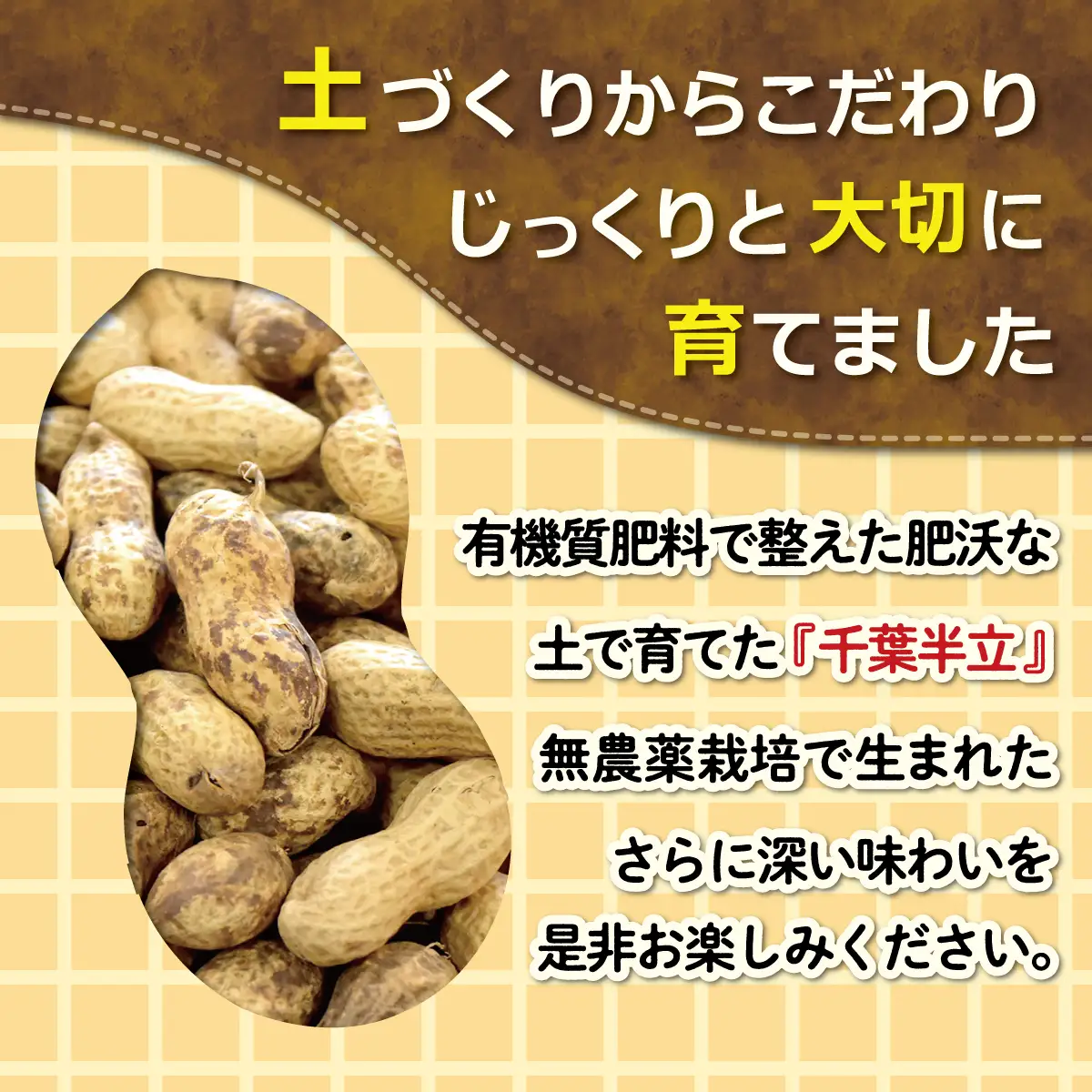 【先行予約】【12月上旬から発送】千葉県産 カラ煎り落花生 千葉半立 600g（200g×3） SMF004