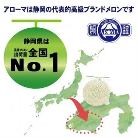 【訳あり】アローマメロン 2玉入【通年出荷】【配送不可地域：離島・北海道・沖縄県】【1170118】